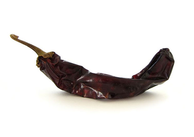 Single dried Guajillo pepper, brown with stem, lying on a white surface