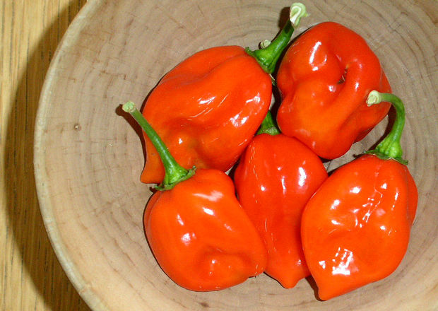 Five glossy Red Savina chilli peppers in a wooden bowl